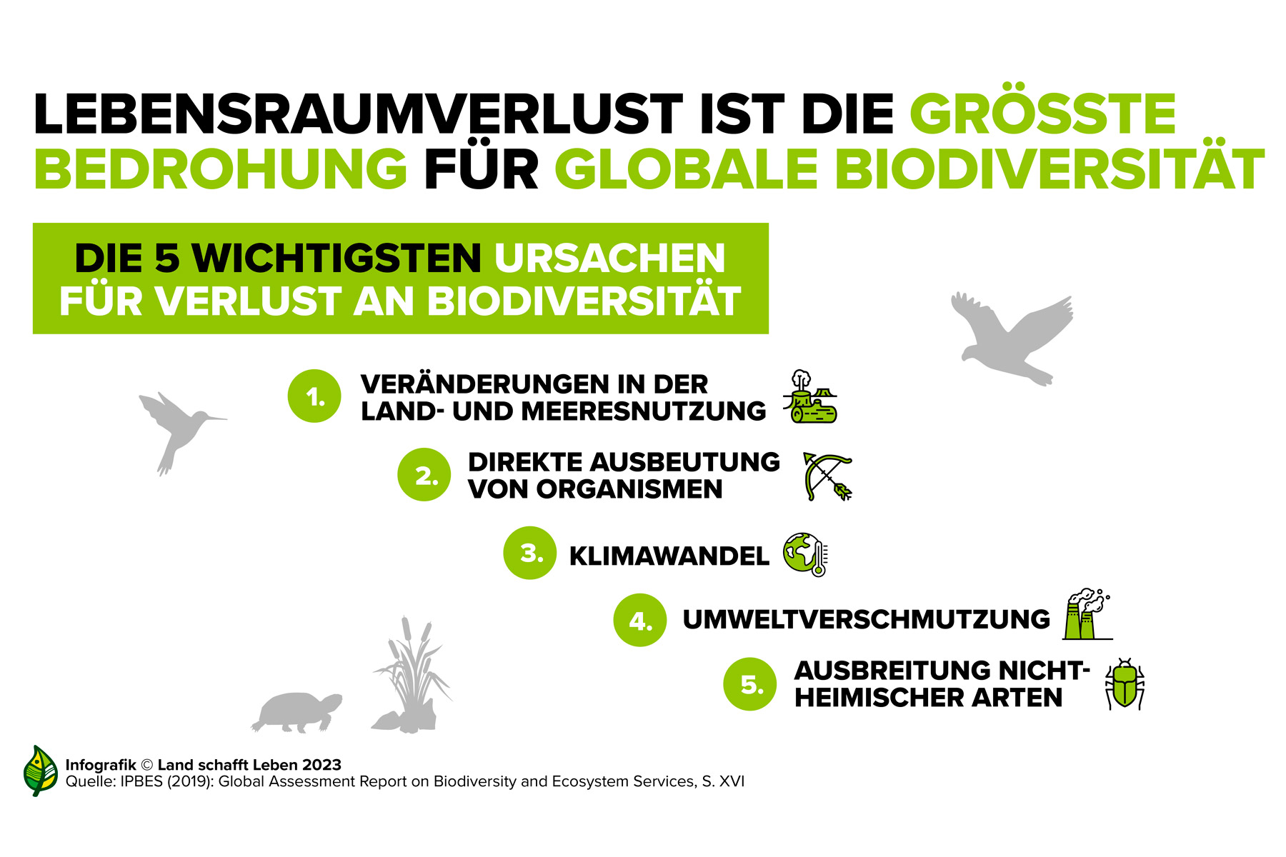 Lebensraumverlust ist die größte Bedrohung für globale Biodiversität